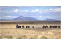  &nbsp; Grants, Cibola County, New Mexico  $10,944,000