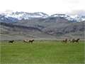 80 Acres &nbsp; Cody, Park County, Wyoming  $4,750,000
