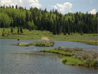 Pinedale, Sublette County, Wyoming Farms and Ranches For Sale - 700 Acres