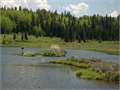 700 Acres &nbsp; Pinedale, Sublette County, Wyoming  $3,850,000