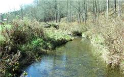 Brasstown, Clay County, North Carolina Land For Sale - 2.26 Acres