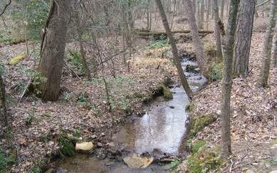 Hayesville, Clay County, North Carolina Land For Sale - 31.5 Acres