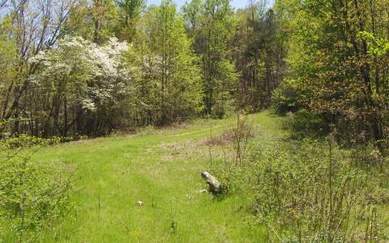 Ellijay, Gilmer County, Georgia Land For Sale - 56.71 Acres