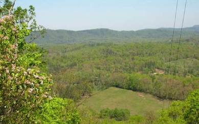 Ducktown TN, Polk County, Georgia Land For Sale - 34.99 Acres