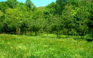 Robbinsville, Graham County, North Carolina Land For Sale - 5.17 Acres