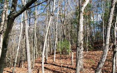 Ellijay, Gilmer County, Georgia Land For Sale - .72 Acres