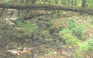 Ellijay, Gilmer County, Georgia Land For Sale - 1.7 Acres