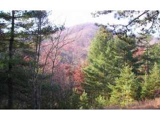 Brasstown, Clay County, North Carolina Land For Sale - 17.44 Acres