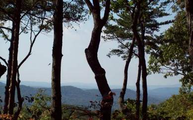 Ellijay, Gilmer County, Georgia Land For Sale - 3.4 Acres
