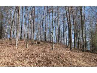 Franklin, Macon County, North Carolina Land For Sale - 3.11 Acres