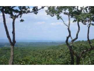 Jasper, Pickens County, Georgia Land For Sale - 8.2 Acres