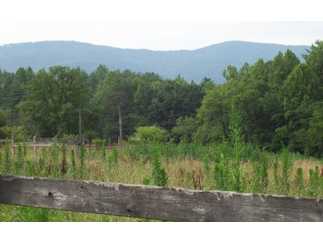 Hayesville, Clay County, North Carolina Land For Sale - 3.75 Acres