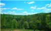 Land in MORGANTON, Fannin County, Georgia,   $65,000