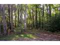 1.06 Acres &nbsp; Hayesville, Clay County, North Carolina  $76,900