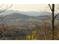 11.98 Acres &nbsp; Blairsville, Union County, Georgia  $325,000