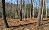 1.26 Acres &nbsp; Hiawassee, Towns County, Georgia  $119,900