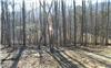 1.05 Acres &nbsp; Hiawassee, Towns County, Georgia  $99,900