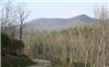 1.41 Acres &nbsp; Brasstown, Clay County, North Carolina  $60,000