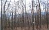 2.37 Acres &nbsp; Young Harris GA, Towns County, Georgia  $50,900