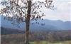 1.02 Acres &nbsp; Young Harris GA, Towns County, Georgia  $109,900