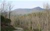 1.01 Acres &nbsp; Brasstown, Clay County, North Carolina  $89,900