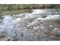 61.8 Acres &nbsp; Ellijay, GA, Gilmer County, Georgia  $2,163,000