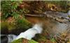 1.73 Acres &nbsp; Hayesville, Clay County, North Carolina  $57,400
