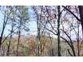 1.49 Acres &nbsp; Ranger, GA, Gordon County, Georgia  $49,900