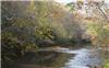 27.16 Acres &nbsp; Blairsville, Union County, Georgia  $502,516