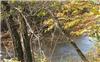 27.15 Acres &nbsp; Blairsville, Union County, Georgia  $502,349