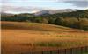 58 Acres &nbsp; HAYESVILLE, N.C, Clay County, North Carolina  $1,995,000