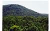 42.6 Acres &nbsp; Ellijay, Gilmer County, Georgia  $880,000