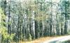 4.2 Acres &nbsp; Hayesville, Clay County, North Carolina  $41,500