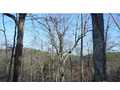 1.64 Acres &nbsp; Ranger, GA, Gordon County, Georgia  $59,900