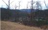 1.43 Acres &nbsp; Hiawassee, Towns County, Georgia  $70,000