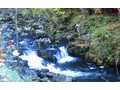 312 Acres &nbsp; Farner, TN, Polk County, Tennessee  $2,964,000