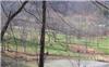 1.78 Acres &nbsp; Hayesville, Clay County, North Carolina  $79,900