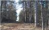 10.59 Acres &nbsp; Talking Rock, G, Pickens County, Georgia  $245,000