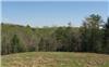 1.32 Acres &nbsp; Morganton, GA, Fannin County, Georgia  $42,900