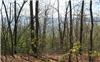 22 Acres &nbsp; Andrews, NC, Cherokee County, North Carolina  $165,000