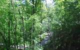 .77 Acres &nbsp; McCaysville, Fannin County, Georgia  $27,900