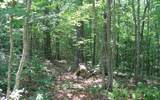 .7 Acres &nbsp; McCaysville, Fannin County, Georgia  $28,750