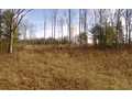 17.15 Acres &nbsp; McCaysville, Fannin County, Georgia  $209,000
