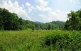 24.18 Acres &nbsp; Blue Ridge, Fannin County, Georgia  $725,000