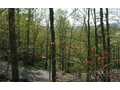1.72 Acres &nbsp; Mineral Bluff, Fannin County, Georgia  $87,500