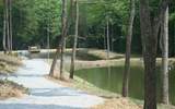 5.74 Acres &nbsp; Culberson, NC, Cherokee County, North Carolina  $72,000