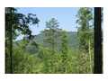 12.75 Acres &nbsp; Blairsville, Union County, Georgia  $280,500