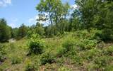 3.42 Acres &nbsp; Culberson, Cherokee County, North Carolina  $66,000