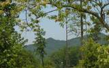 3.63 Acres &nbsp; Ducktown TN, Polk County, Georgia  $50,000
