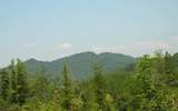 5.51 Acres &nbsp; Ducktown TN, Polk County, Georgia  $45,000